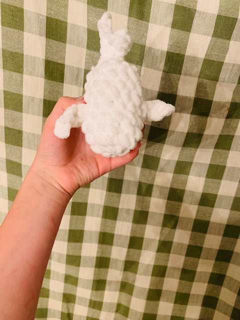 cute seal