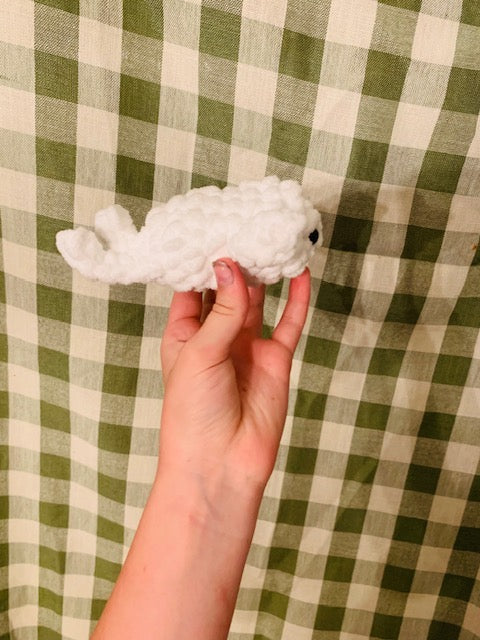 cute seal