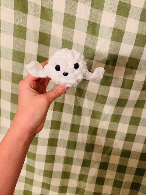 cute seal