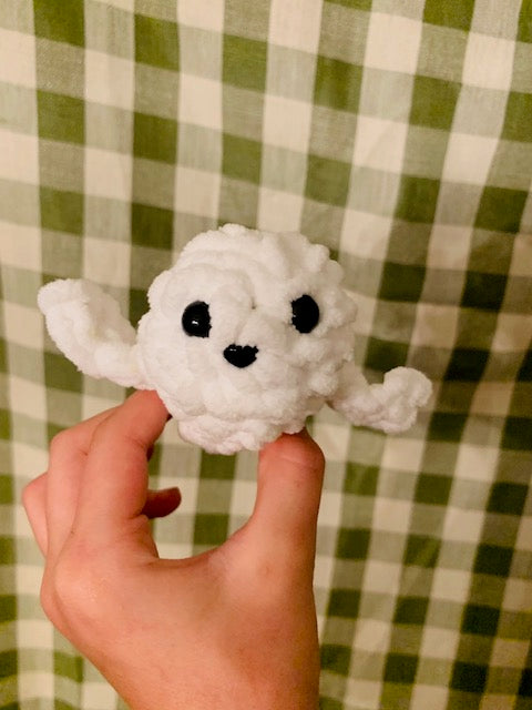 cute seal